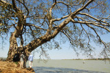 Lake Tana, Bahir Dar