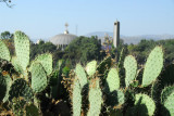 Cactus with St. Mary of Zion, Axum