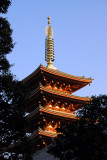 Pagoda of the Sensō-ji Kannon Temple