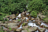 A small stream along the road
