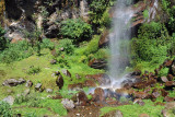 Waterfall outside Gedu