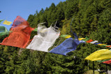 Prayer flags