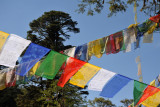 Buddhist prayer flags, common to all the Himalayan countries