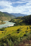 Rice terraces and river south of Punakha
