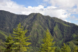 Forest covered mountains around the Tigers Nest
