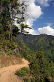 Tigers Nest Trail