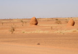 Termite mounds perhaps...