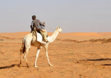 Sudanese man on a camel
