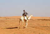 Sudanese camel herdsman