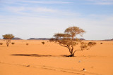 Libyan Desert, Sudan