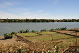 Small agricultural fields along the Nile, El Daba