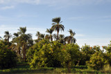 Passing through the narrow fertile strip on the banks of the Nile