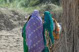 Sudanese women waiting for the Old Dongola Ferry