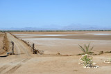 The causeway-like road leading to the Sudan Red Sea Resort