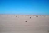 Desolate