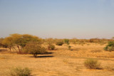 Passing through an area of scrubby bush