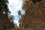 Road cut into the bank leading up from the ferry landing