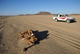 Dead Camel Highway between Sesibi and Soleb