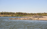 Sandy island mid-stream