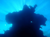 Back-lit coral pillar, Abu Adila Reef