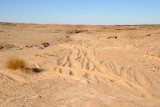 Sandy track leading to the Petrified Forest near El Kurru