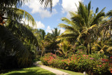 La Plantation Hotel garden