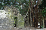 Ruins at Balaclava, Mauritius