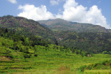 Terraced fields, Nepal