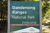 Welcome to Dandenong Ranges National Park