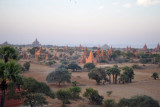Treetop level over the Central Plains of Bagan