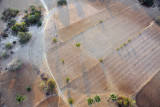 Dirt tracks passing through agricultural fields, Bagan