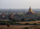 Gold stupa of Dhammayazika Pagoda, 1196 AD, Bagan - West Pwasaw