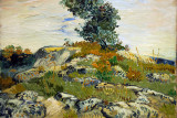 The Rocks, 1888, Vincent van Gogh (1853-1890)