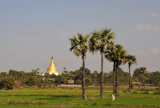 Rice paddies, palms and a golden stupa, typical Burma