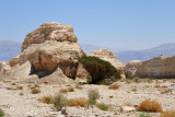 Rocky outcropping with some greenery at a rest area along Highway 90