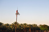 Figure riding on moped on a post near the north end of the Dead Sea