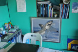 Shark Lady office, Hermanus