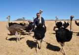 Ostrich ride, Highgate Show Farm, Oudtshoorn