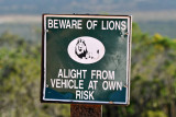 Beware of Lions - Addo Elephant National Park