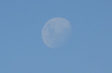 Near-full moon over Addo National Park