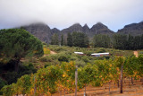 Hidden Valley Winery on the edge of Jonkershoek State Forest
