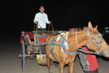 Dennis driving the horse cart, Old Bagan