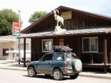 Jenkins taxidermist, Main Street (US287) Augusta, Montana