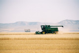 John Deer harvester, northeast Montana