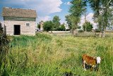 Grant-Kohrs Ranch National Historic Site, near Deer Lodge, Montana
