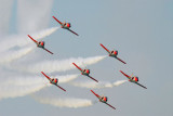 Spains Patrulla Aguila, Casa C-101 Aviojet, Dubai Airshow 2007