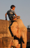 Boy atop an elephant, Nyatapola Temple
