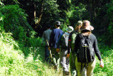 Jungle walk, Chitwan National Park