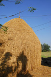 Rice stack, near Sauraha, Central Terai
