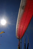 Looking up at my canopy